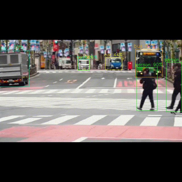 Hailo Detection Example